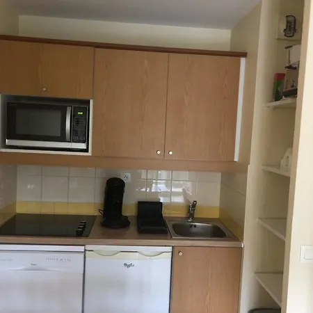 アパート A Lary Soulan, 4-5 Pers, A 150m Des Telecabines Et Du Village Avec Piscine サン・ラリー・スラン