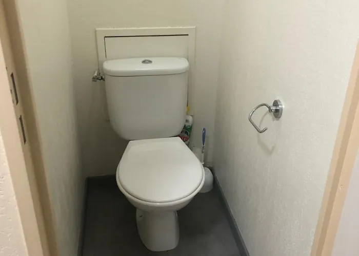 דירה A Lary Soulan, 4-5 Pers, A 150m Des Telecabines Et Du Village Avec Piscine *